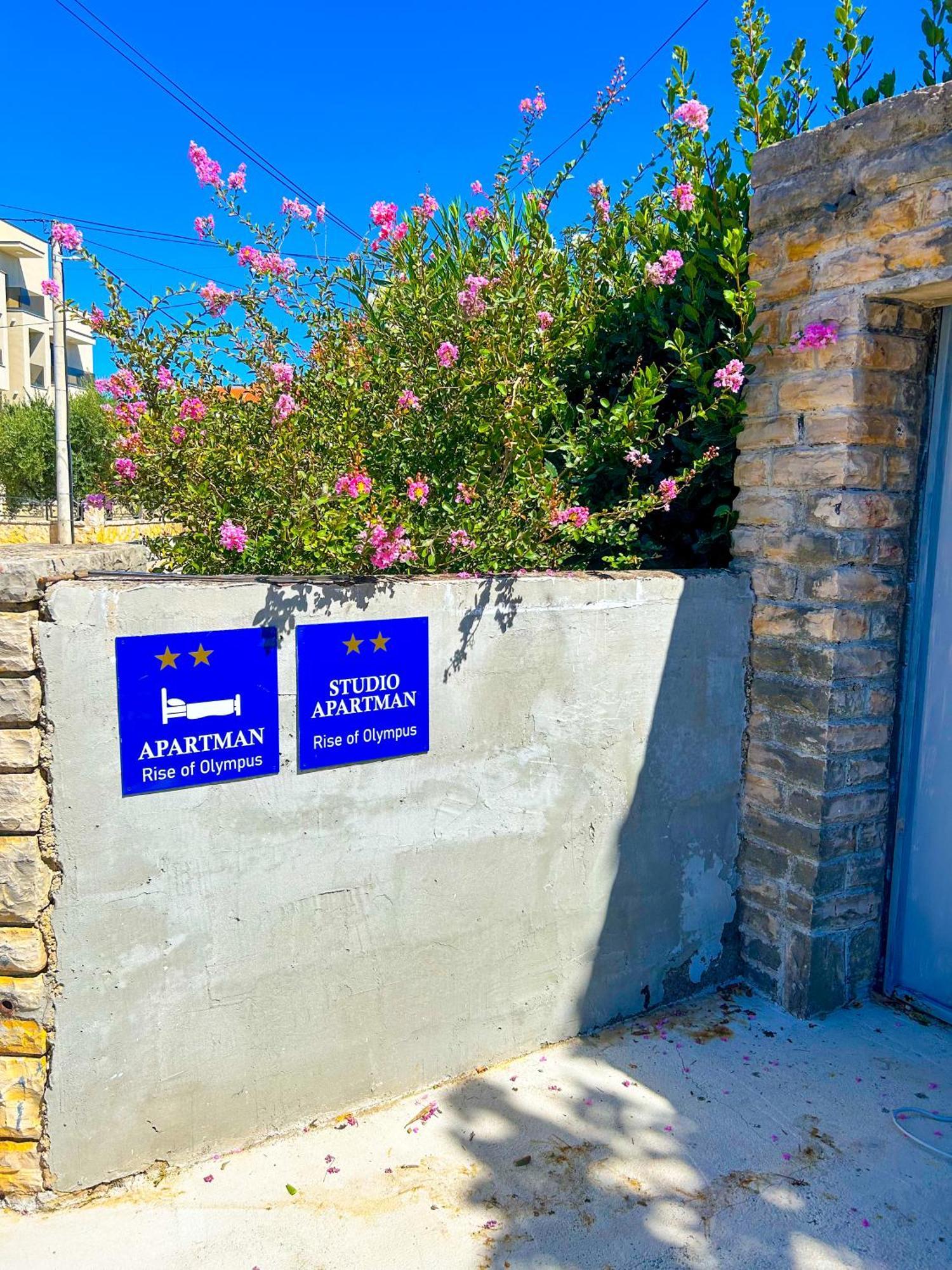 Rise Of Olympus Apartmani Zadar Zewnętrze zdjęcie