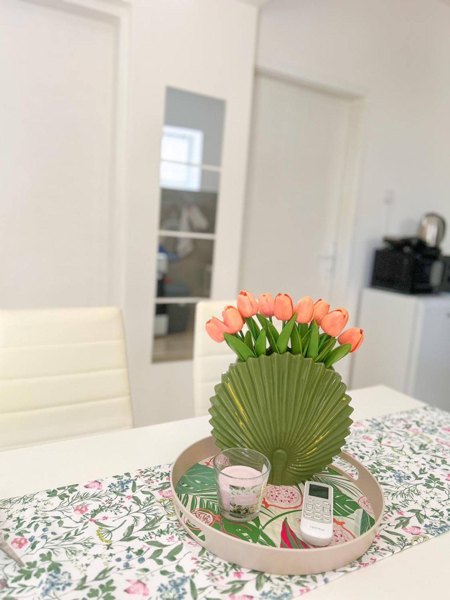 Rise Of Olympus Apartmani Zadar Zewnętrze zdjęcie
